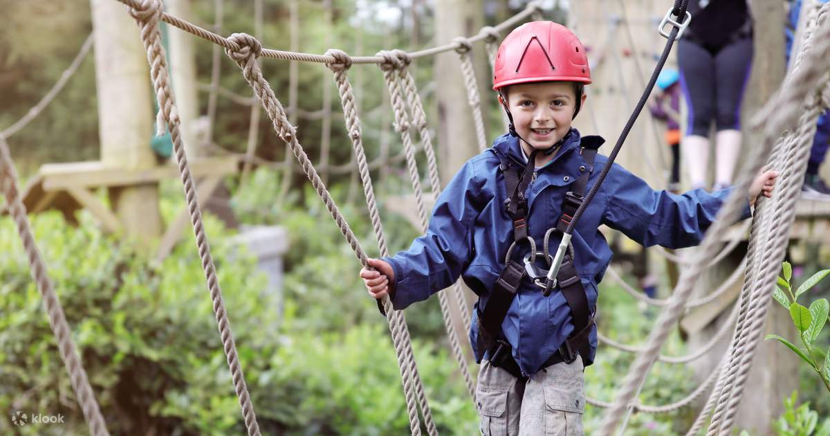 TreeTop Challenge at Tamborine Mountain from Gold Coast Klook Australia